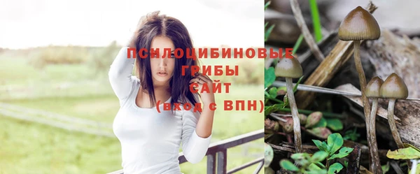 гашиш Бронницы